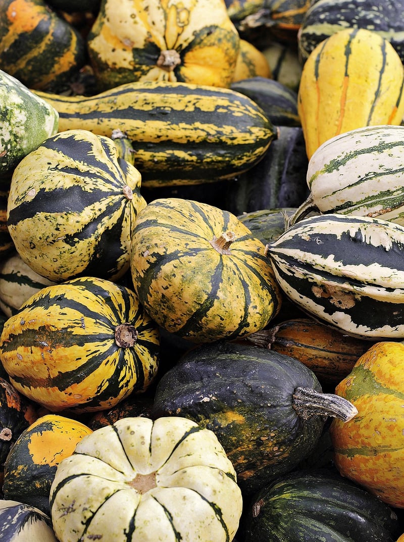 Farmers' Market